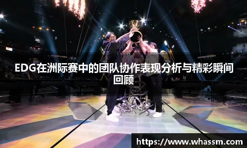 zoty中欧