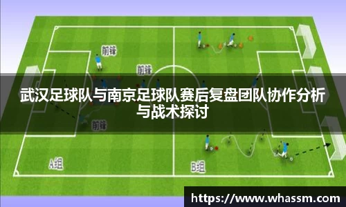 zo体育