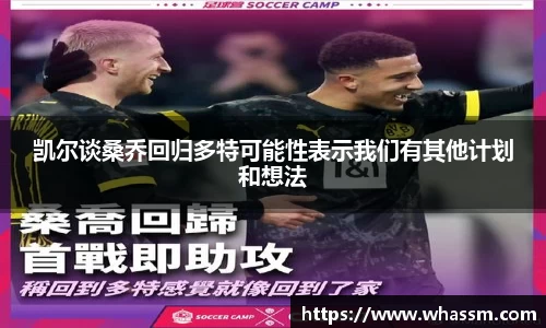 中欧体育