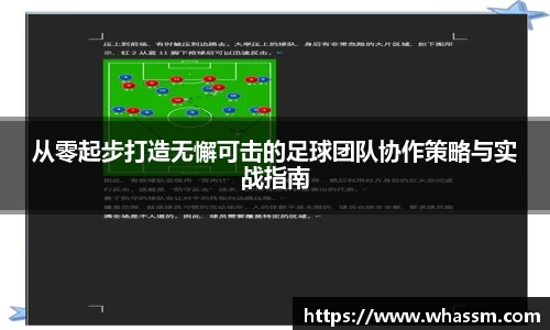 中欧体育